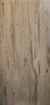 120x60 SAGANO Almond RETT